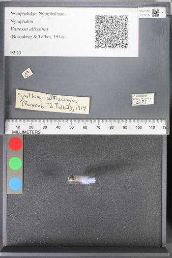 Media type: image;   Entomology 93190